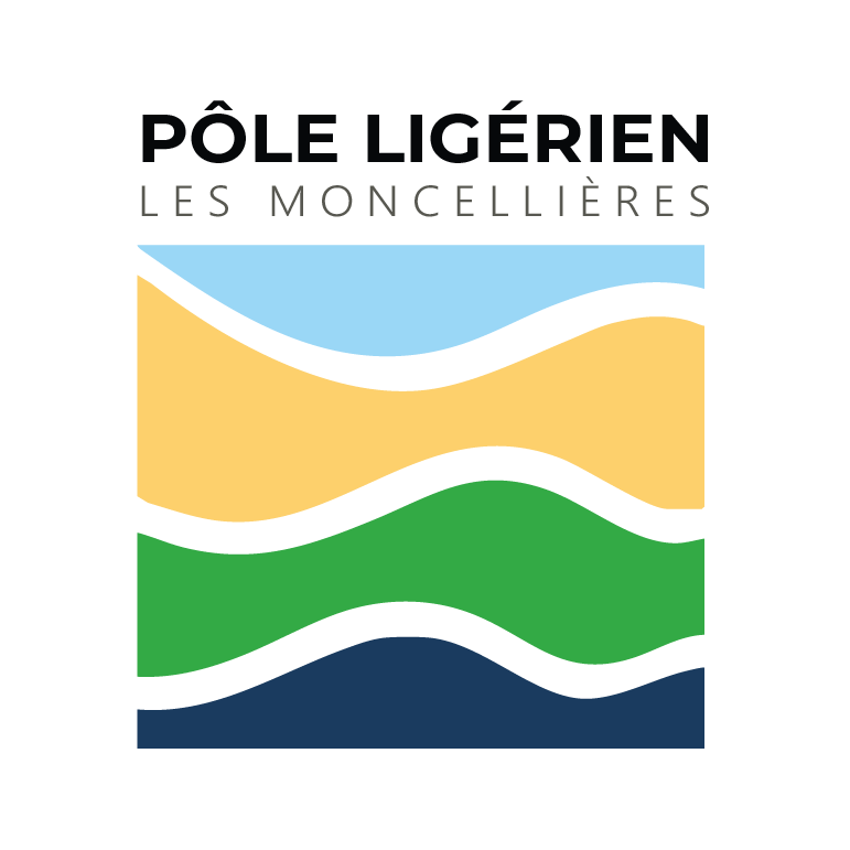 Pôle_Ligérien_couleurs